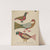 Plate 10 - From Portfolio Folk Art of Rural Pennsylvania by American 20th Century