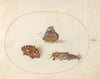 Plate 11; Small Tortoiseshell and Red Admiral Butterflies with a Mole Cricket (1575-1590)