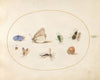 Plate 19; Two Butterflies with Five Other Insects (1575-1590)