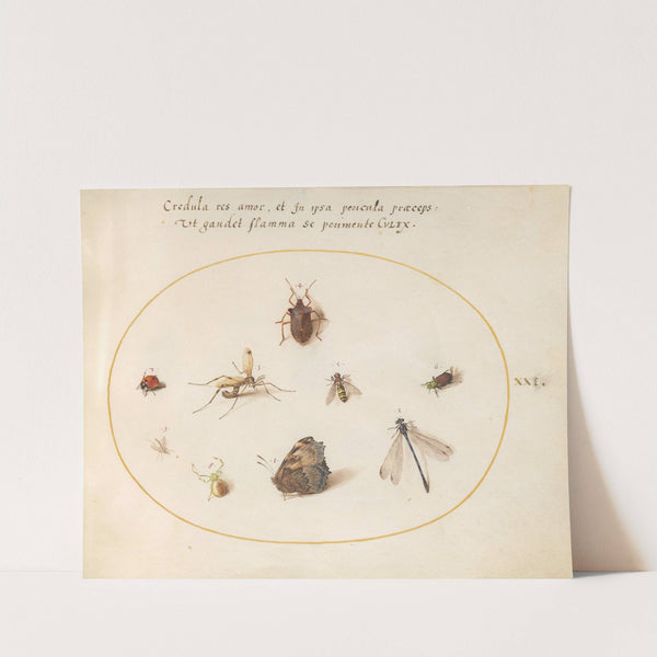 Plate 21; A Butterfly with a Dragonfly, a Ladybug, and Five other Insects (1575-1590) by Joris Hoefnagel