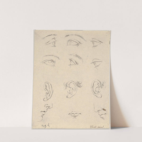 Plate 3; six eyes, three Ears, two Profiles, and a mouth (1649) by Stefano Della Bella