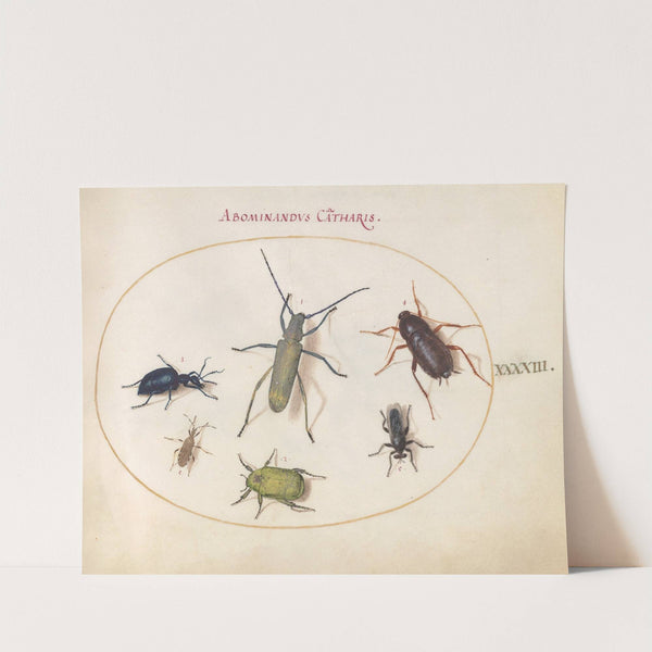 Plate 43; Musk Beetle, Oil Beetle, Tansy Beetle, Cockroach, Leaf-Footed Bug, and Other Insects (1575-1590) by Joris Hoefnagel