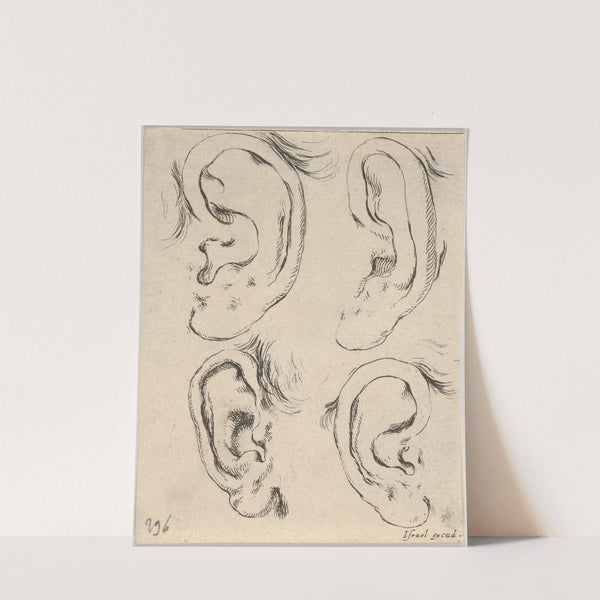 Plate 5; four ears. (1649) by Stefano Della Bella