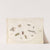 Plate 64; Eleven Insects, Including a Dragonfly and Longhorn Beetle (1575-1590) by Joris Hoefnagel