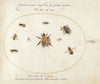 Plate 69; Nine Bees and Other Insects (1575-1590)