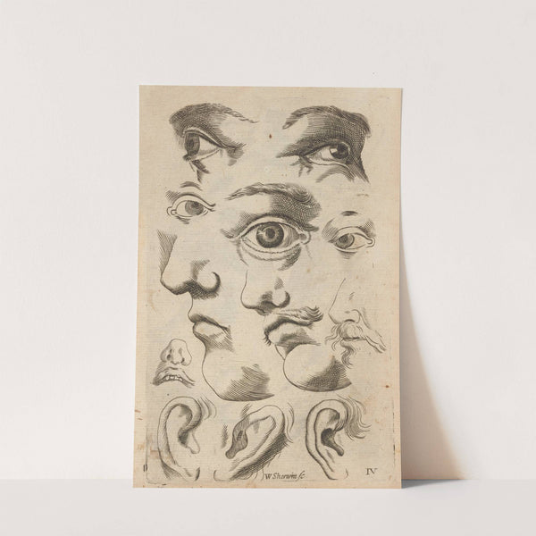 Plate IV: Artist study of facial features (1685) by William Salmon