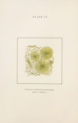 Plate IV: Crystals of Phenylglucosazone — size preview