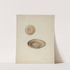 Plate Treen (1938) by Wellington Blewett