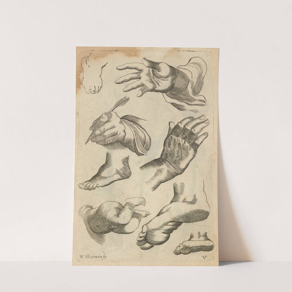 Plate V: Artist study of hands and feet (1685) by William Salmon