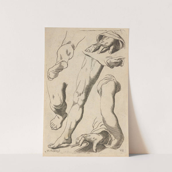 Plate VI: Artist study of legs, arms, hands and feet by William Salmon