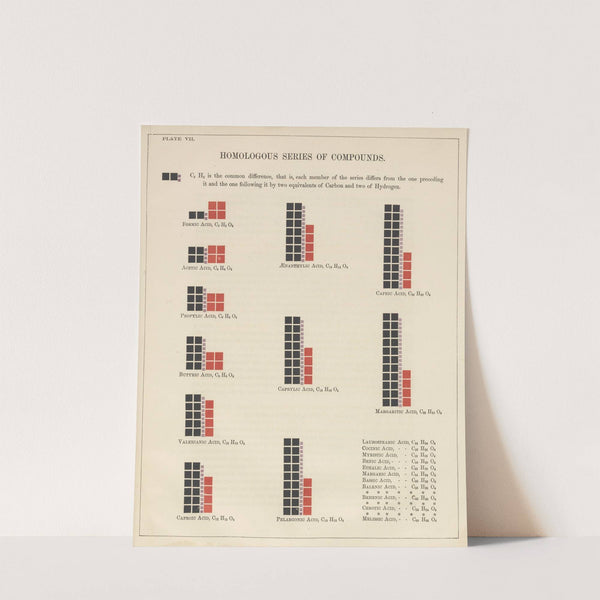 Plate VII: Homologous Series of Compounds by Edward Livingston Youmans