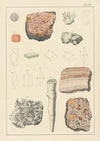 Plate VII: Zeolitic Minerals, Carbonaceous Limestone