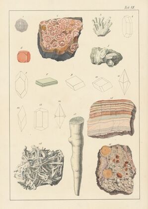 Plate VII: Zeolitic Minerals, Carbonaceous Limestone