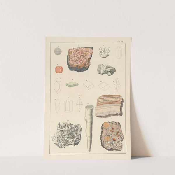 Plate VII: Zeolitic Minerals, Carbonaceous Limestone by Johann Gottlob Kurr