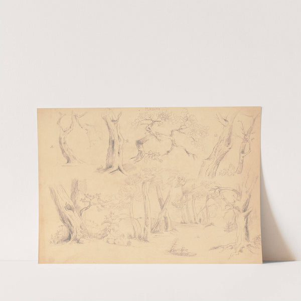 Plate XII by Richard Sanger Smith