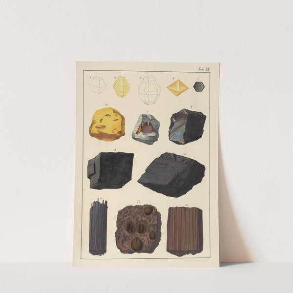 Plate XII: Sulphur, Honey-Stone, Graphite, Coal, Lignite by Johann Gottlob Kurr