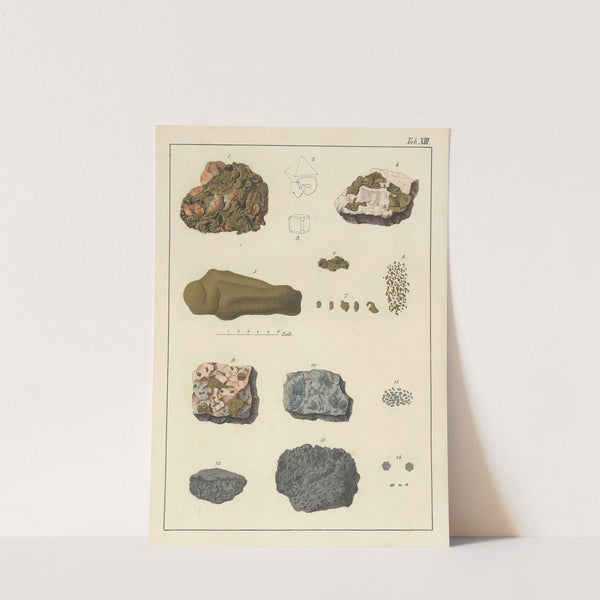 Plate XIII: Gold, Platinum, Iridium by Johann Gottlob Kurr