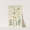Plate XIX: Miscellaneous by George Chandler Whipple
