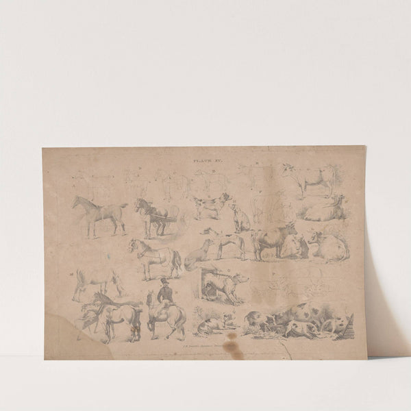 Plate XV J.R. Smith's juvenile drawing book by John Rubens Smith