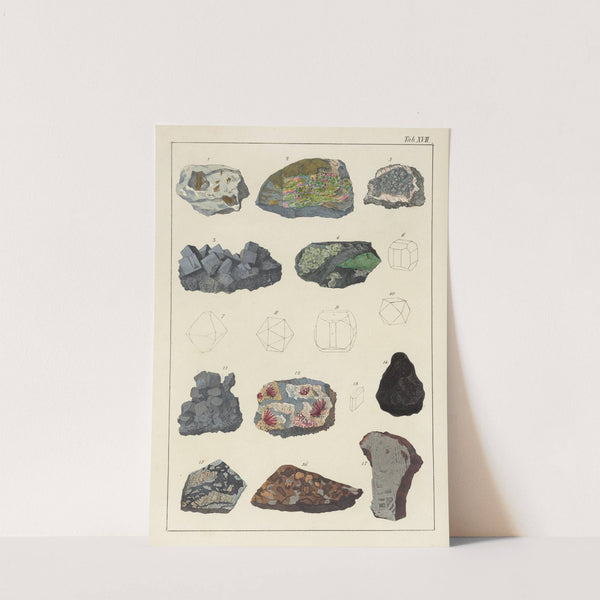 Plate XVII: Nickel, Cobalt, Iron by Johann Gottlob Kurr