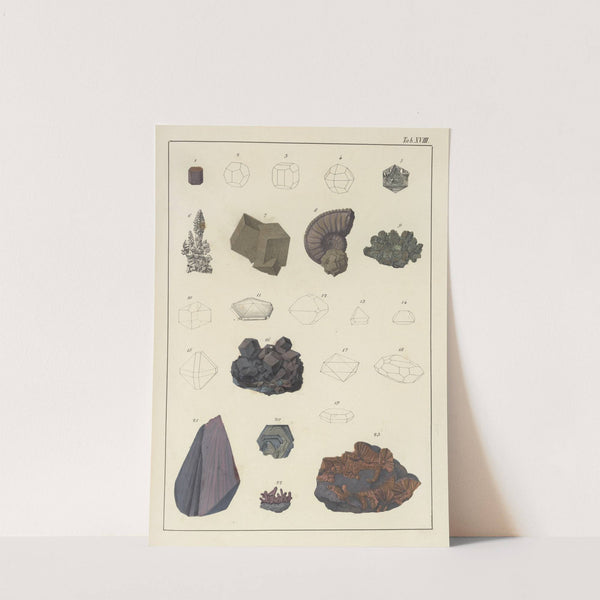 Plate XVIII: Pyrites, Magnetic Iron, Iron-Glance, Iron Ores by Johann Gottlob Kurr