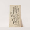 Plate XXIII: Palmistry chart of left hand by William Salmon