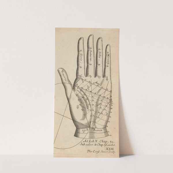 Plate XXIII: Palmistry chart of left hand by William Salmon