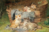 Playful Cats