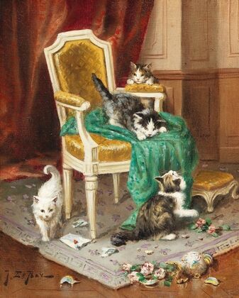 Playful Cats