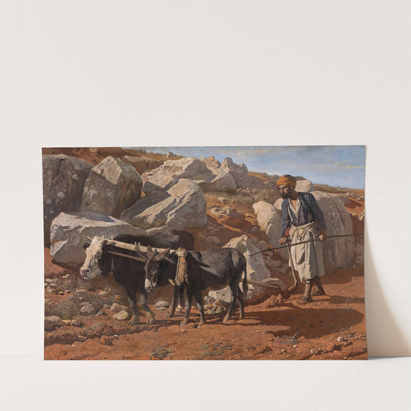 Plough Ox and Mule with Fellah (1876) by Charles Verlat