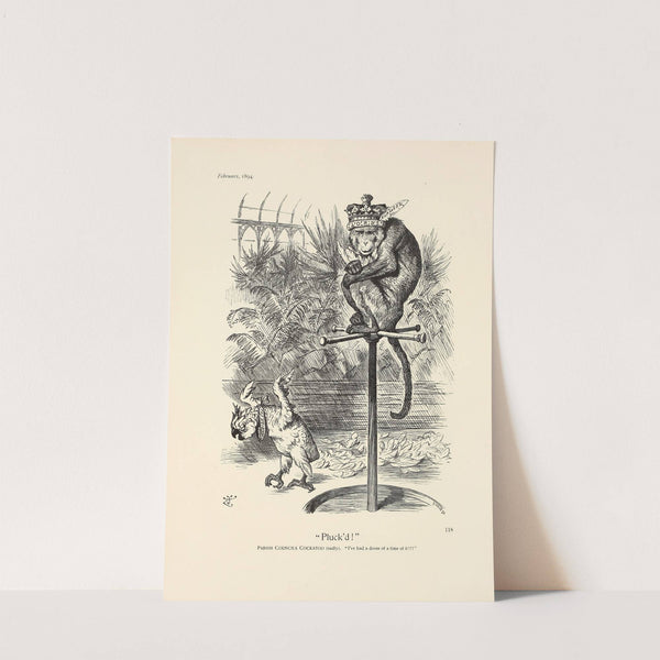 Pluck'd! by Sir John Tenniel