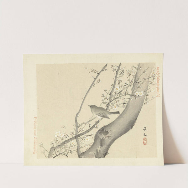Plum and Japanese bush-warbler (1892) by Matsumura Keibun