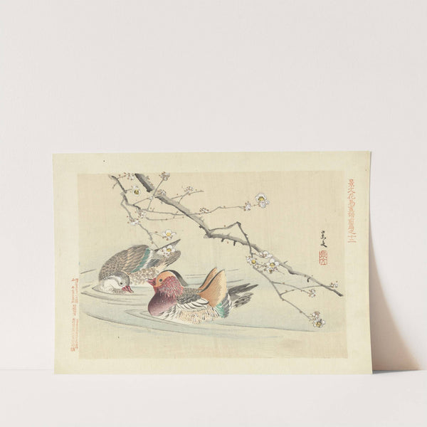 Plum and mandarin duck (1892) by Matsumura Keibun