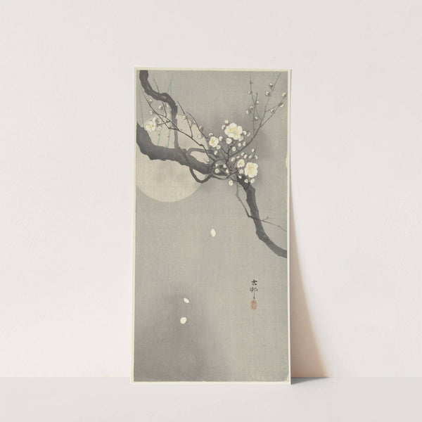 Plum blossom and full moon (1900 - 1936) by Ohara Koson