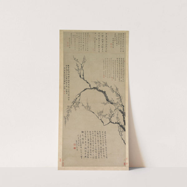 Plum Blossoms (probably 1739) by Wang Shishen