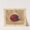 Plum by John Henry Hill
