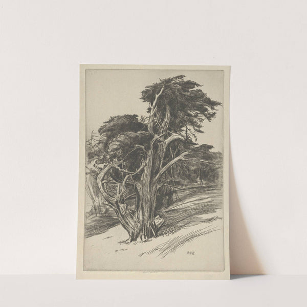 Plume of Balboa (1914-1919) by Ernest Haskell