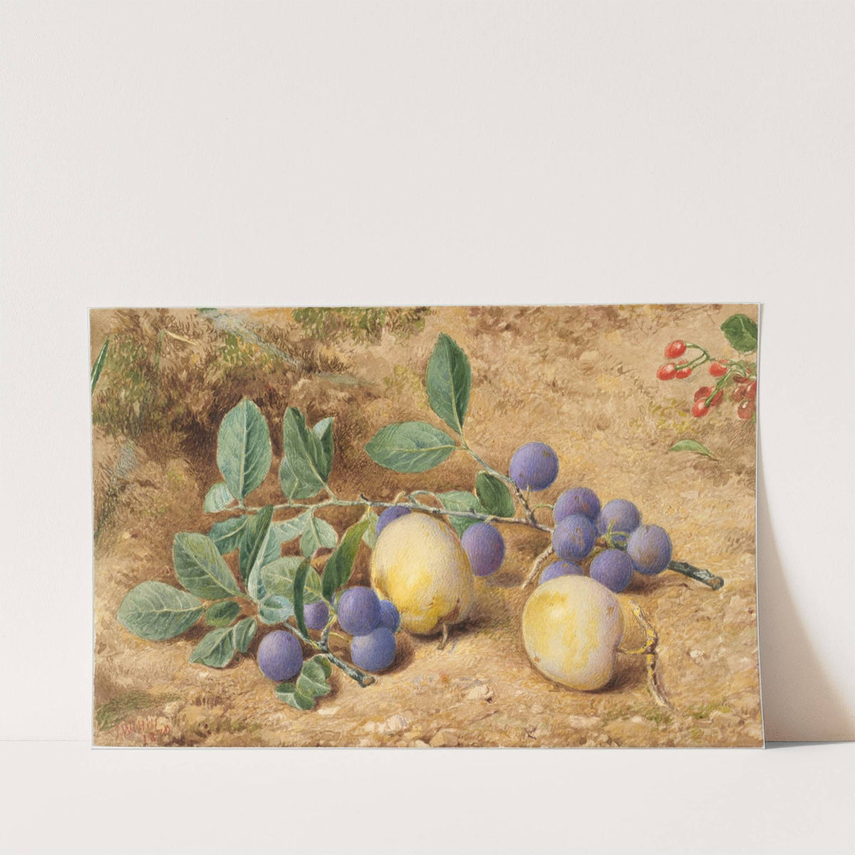 Plums by John William Hill