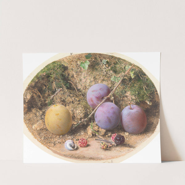 Plums and Mulberries by William Henry Hunt