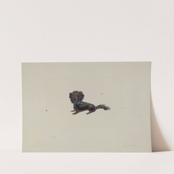 Plush Toy Dog by John Winters