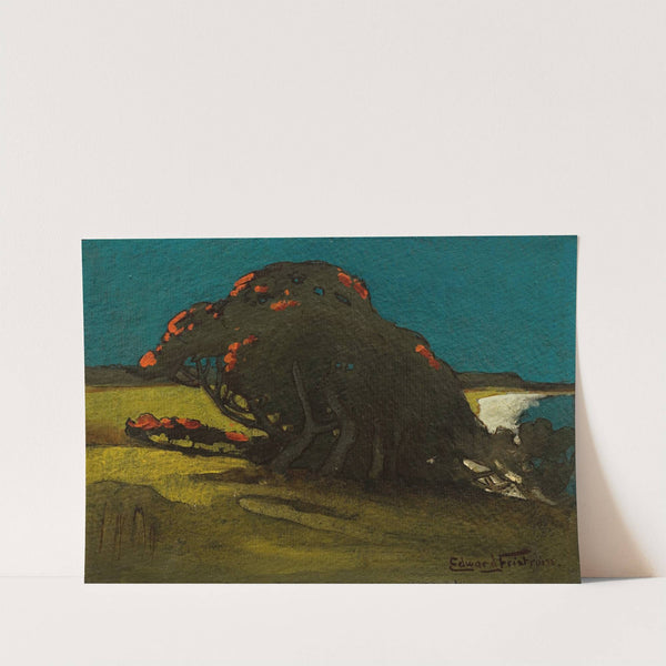 Pohutukawa by Edward Friström