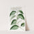 Pointed-leaved Jasmine (1815-1819) by Sydenham Edwards