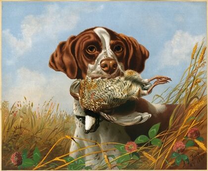 Pointer and Quail (ca. 1861–1897)