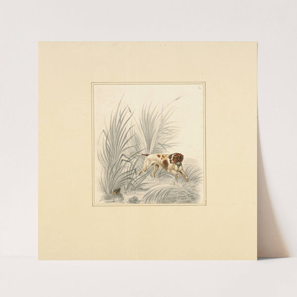Pointer looking at gamebird (1820 - 1830) by Henry Thomas Alken