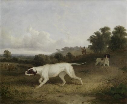 Pointers In A Landscape