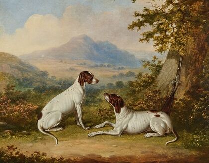 Pointers in an extensive landscape
