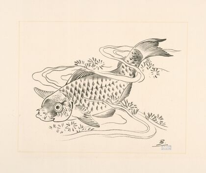 Poisson dans une vague.