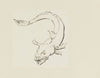 Poisson – dessin non utilisé (1920-1921)