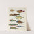 Poissons, ecrevisses et crabes, de diverses couleurs et figures extraordinaires.. Pl.006 by Louis Renard