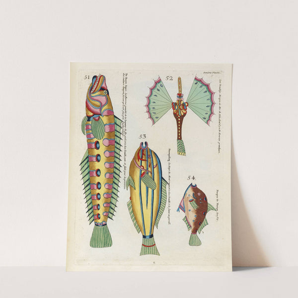 Poissons, ecrevisses et crabes, de diverses couleurs et figures extraordinaires.. Pl.054 by Louis Renard